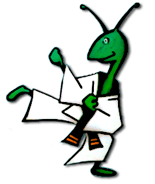 Federación Extremeña De Karate - karate in Cáceres