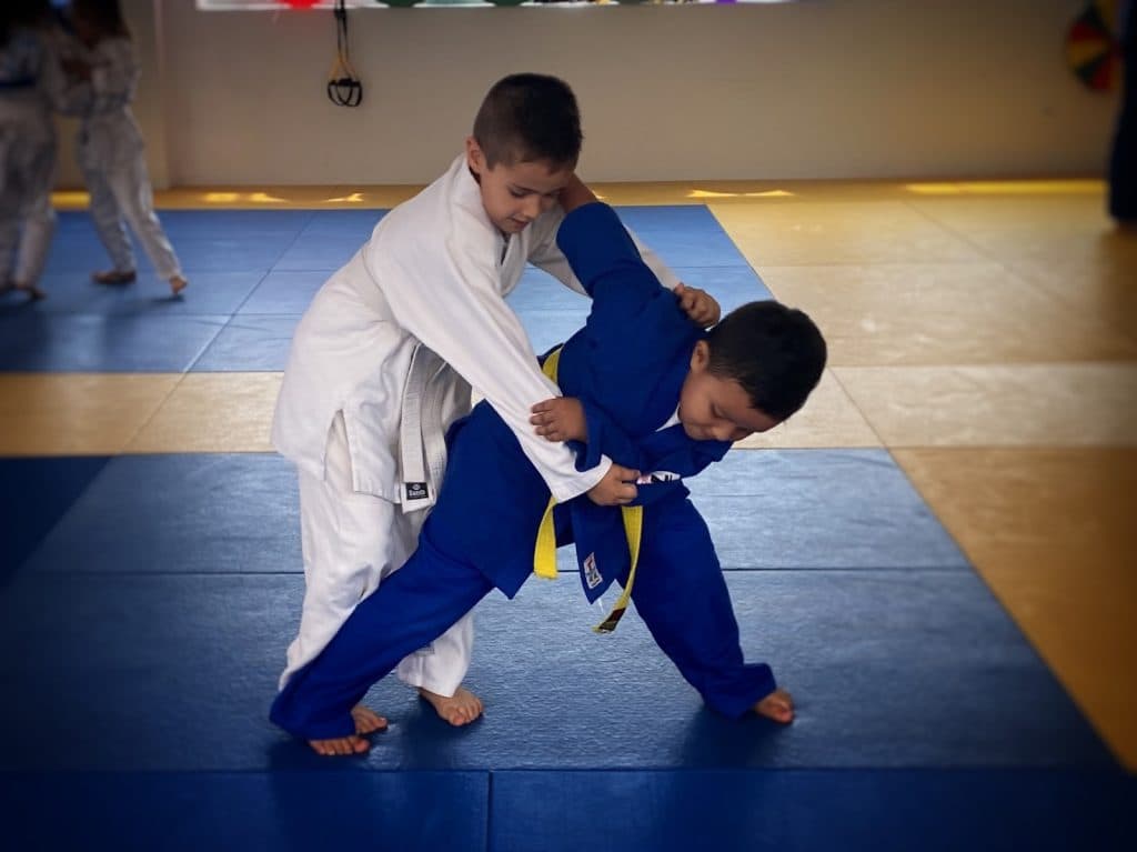 CLUB KARATE ORIHUELA - judo in Orihuela