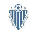 Agrupacion Deportiva Sporting Hortaleza - fútbol in Madrid