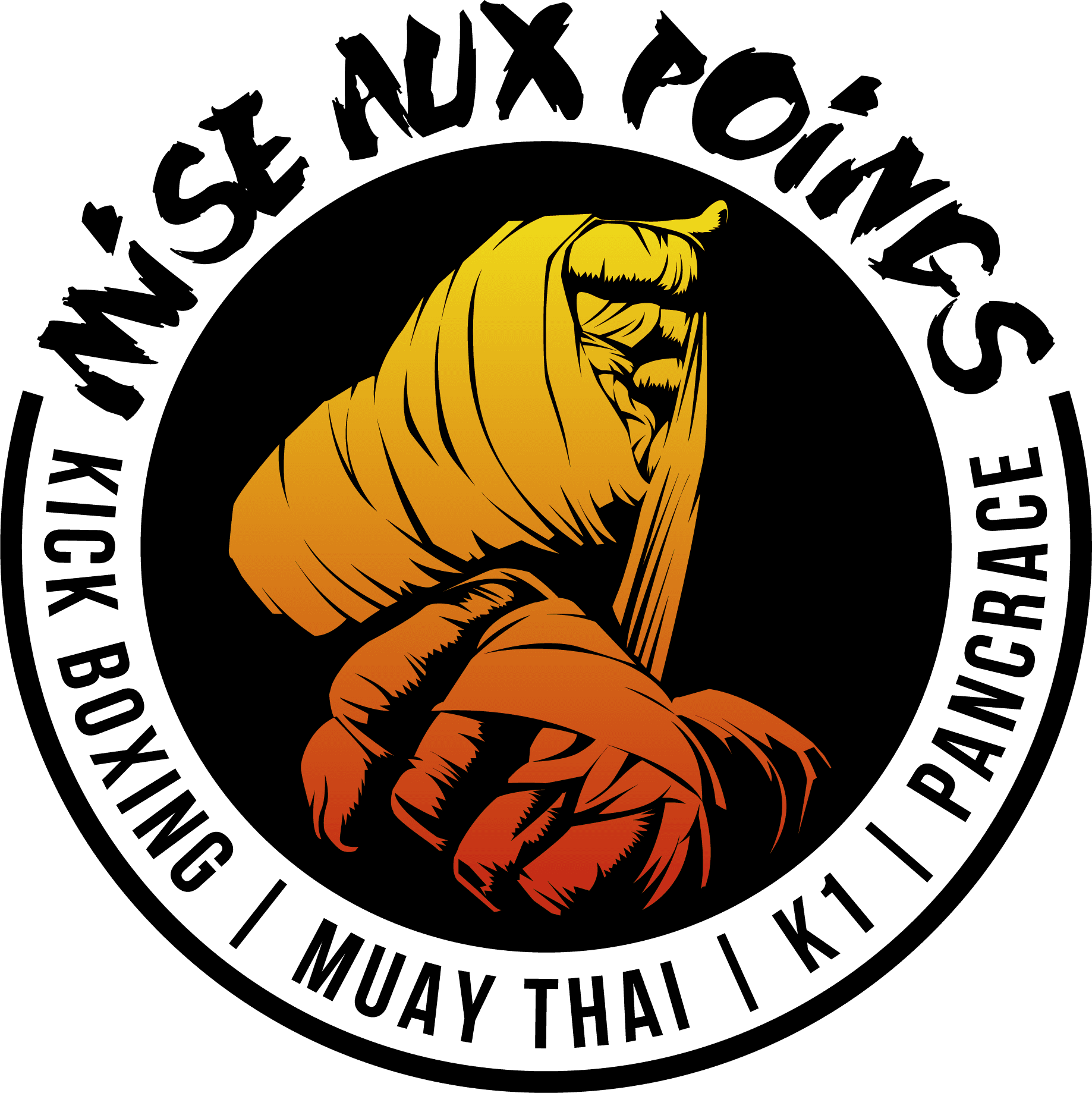 Club MISE AUX POINGS / Kick-Boxing /Muay Thai / Sanda / MMA - boxeo in Ramonville-Saint-Agne