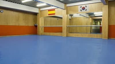 Al Moo Kwan Sueca - judo in Sueca