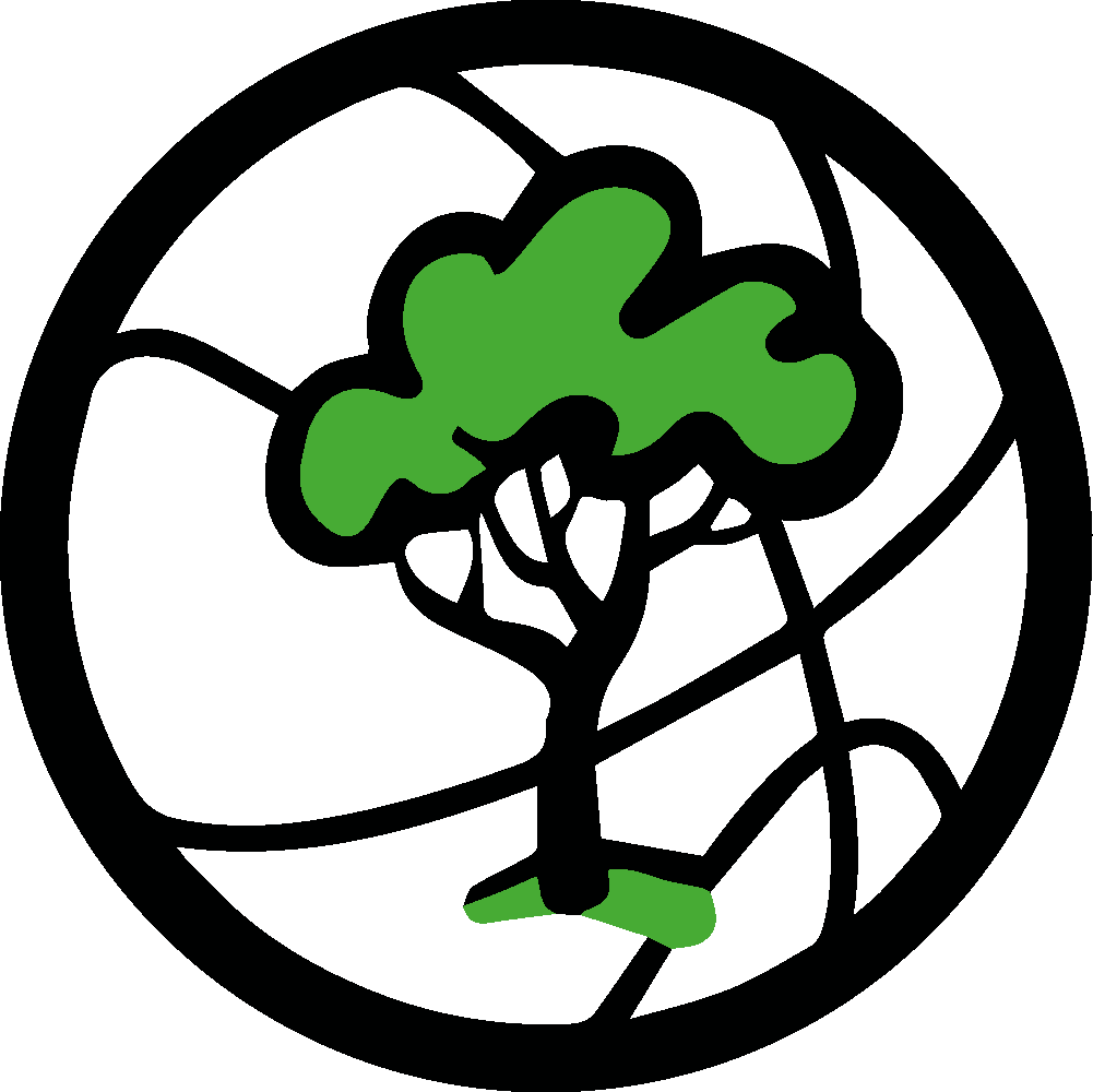 ADC BOADILLA - baloncesto in Pozuelo de Alarcón