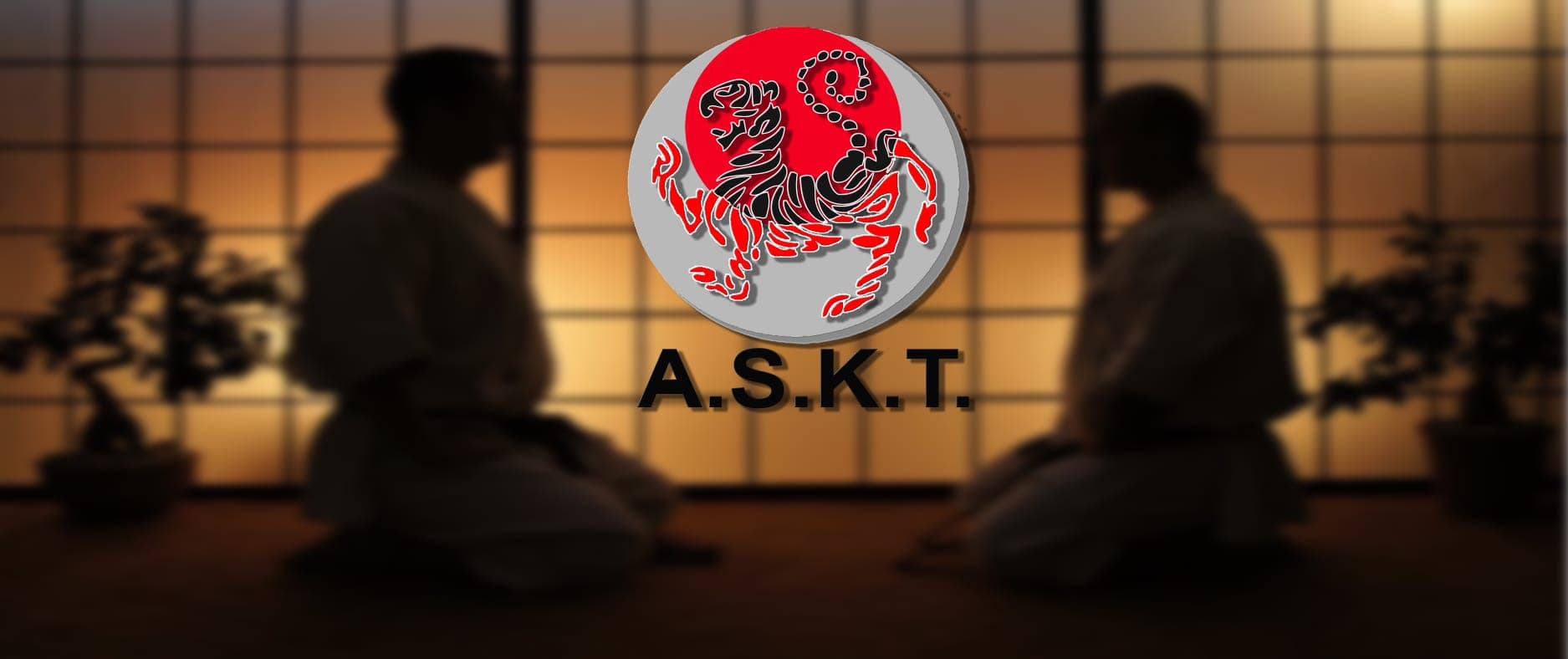 Shotokan Jose A. Romera Karate - karate in Xirivella