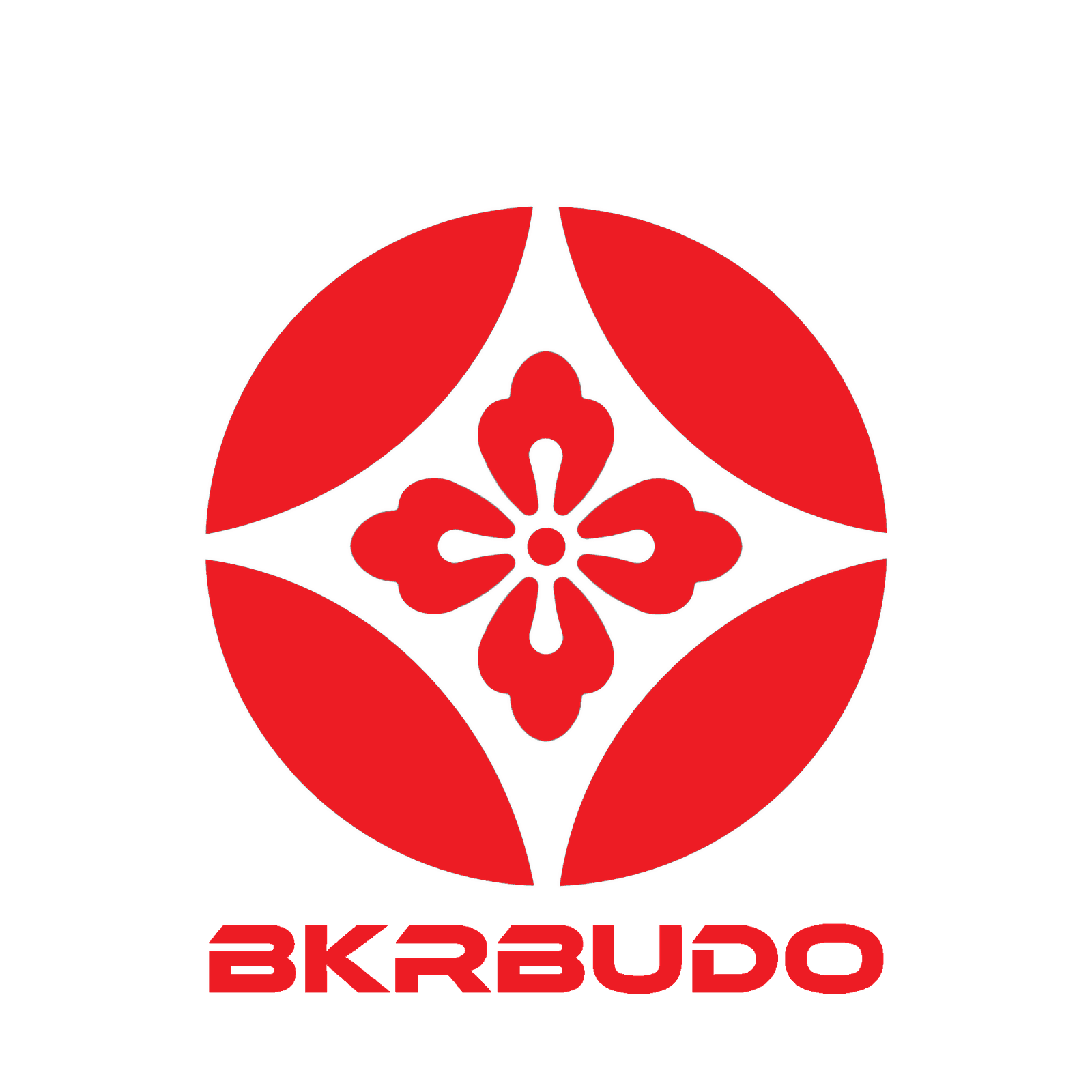 BUJINKAN BYAKURYU DOJO - judo in Lugo