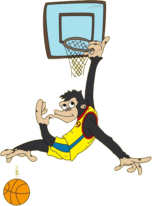 Club Basquet Grifeu Llançà - baloncesto in Llançà