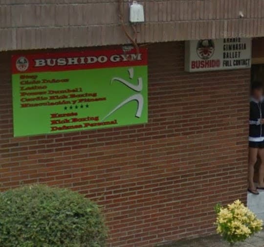 Bushido Gym - judo in Torrelavega