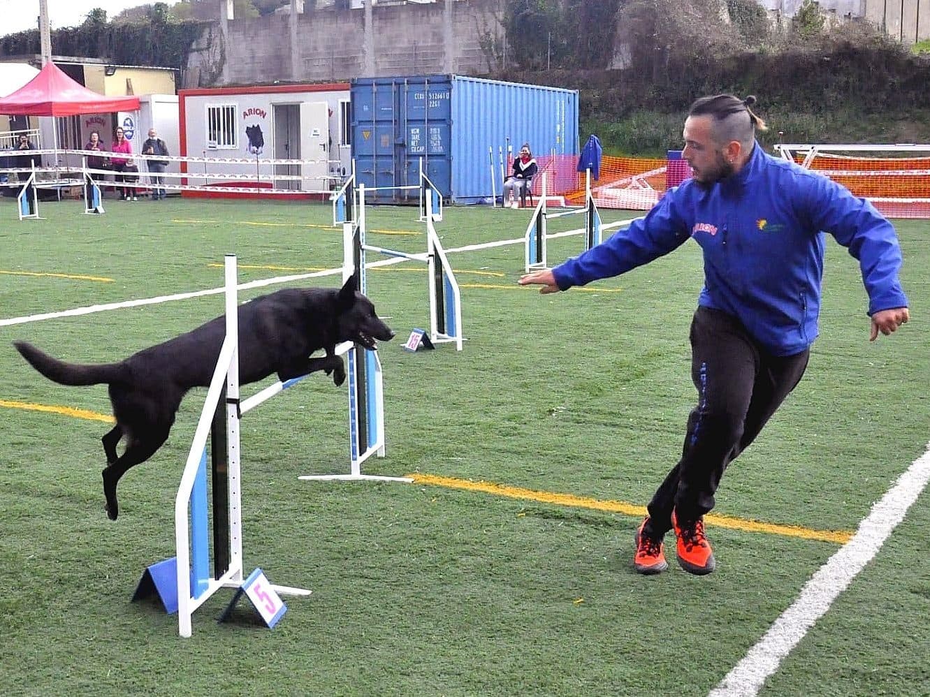 Club de Agility Ourencan - fútbol in Ourense
