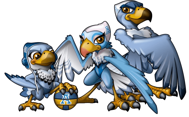 Club Natación Ciudad de Alcorcón - natacion in Alcorcón