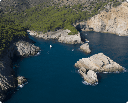 Centre d'Activitats Club Nàutic Estartit - surf in L'Estartit