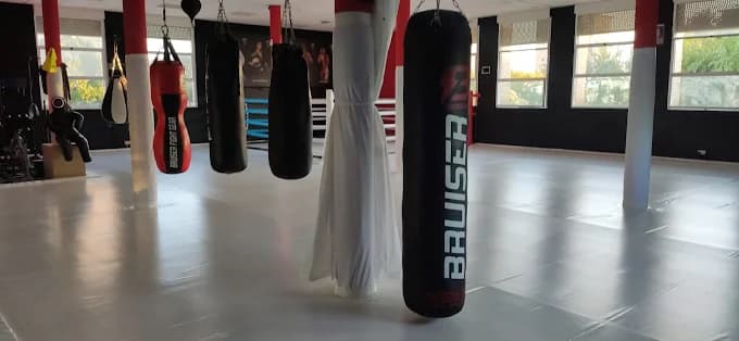 Jiu-Jitsu Brasileño - karate in Zaragoza