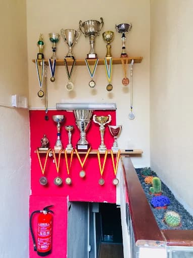 Club Deportivo Ramon Diaz - judo in Las Palmas de Gran Canaria