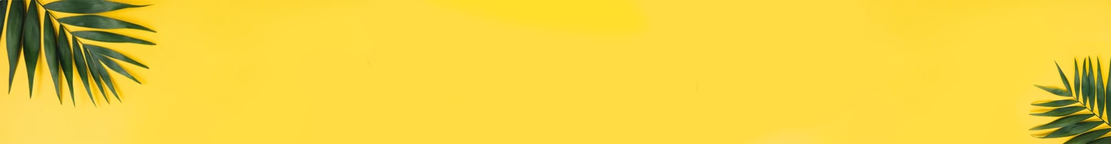 El Palmar Surf School - surf in El Palmar de Vejer