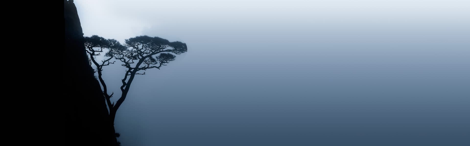 Martial Arts and Wellness School Wuji - judo in Pamplona