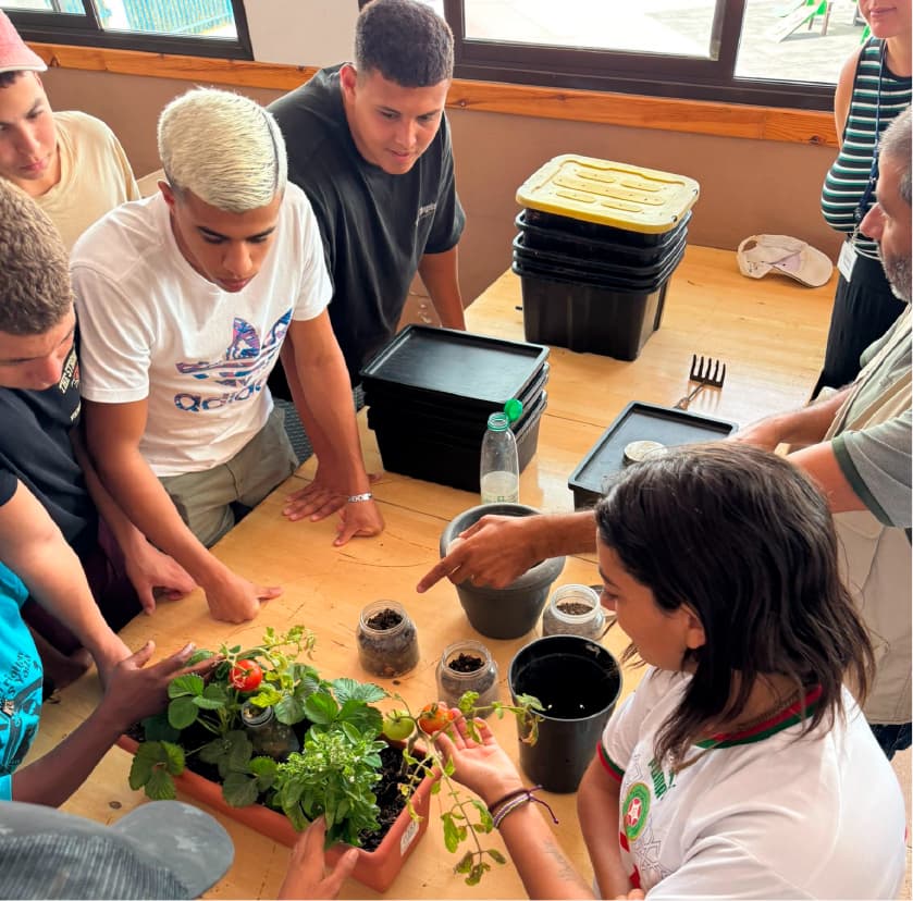 Fundación Martínez Hermanos - baloncesto in Arrecife