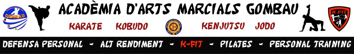 ACADÈMIA D'ARTS MARCIALS GOMBAU (KARATE PIRINEUS) - judo in La Seu d'Urgell
