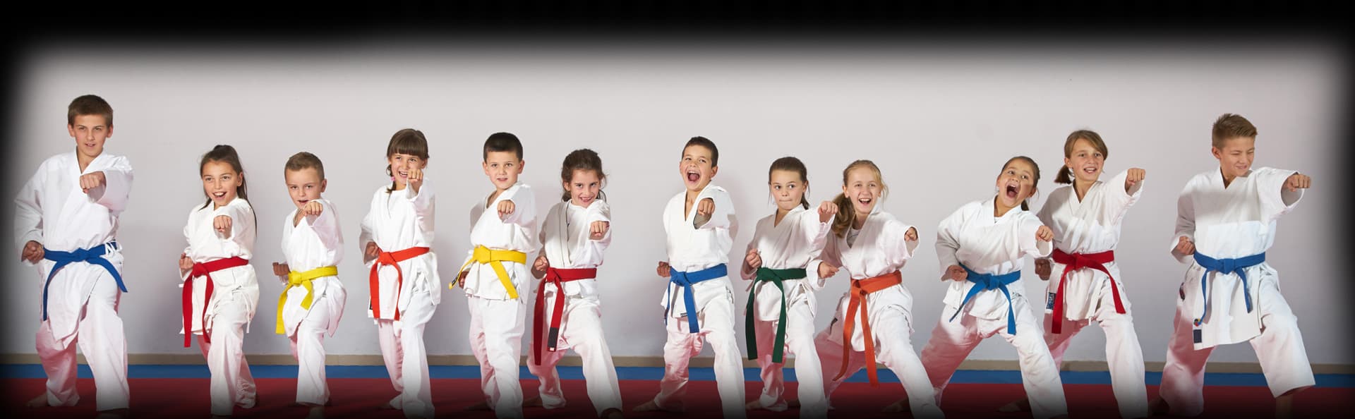 Club Kárate Seishin - karate in Santa Pola