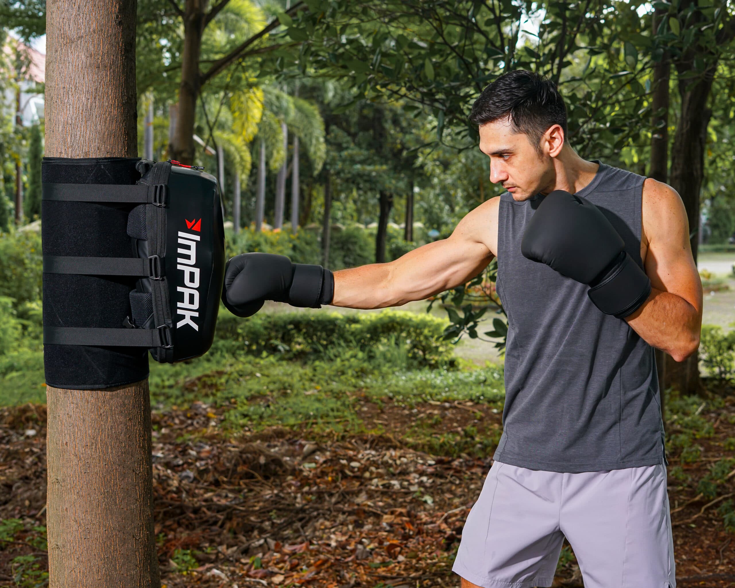 Gimnasio CHO - karate in Villena