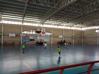 Pabellón Polideportivo Municipal de Argamasilla de Alba. - baloncesto in Argamasilla de Alba