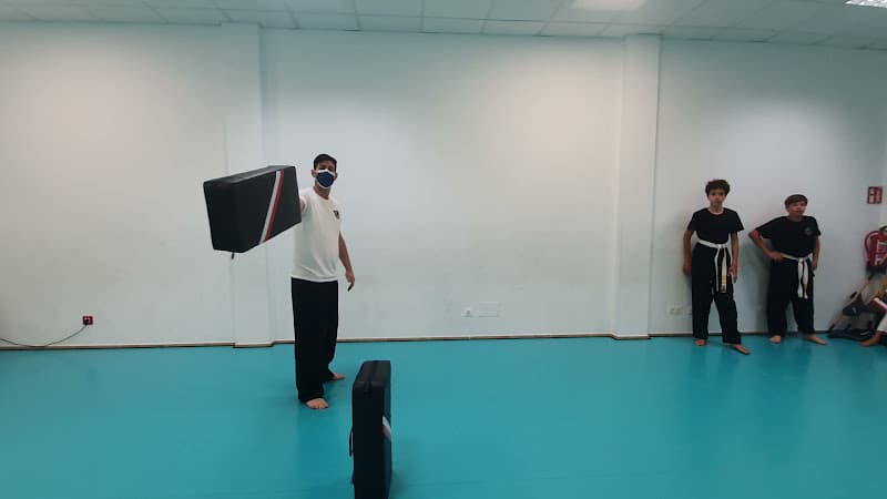 Escuela de Artes Marciales TIGER DO HAPKIDO - karate in Alcúdia