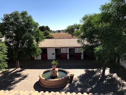 Piscina Pública Municipal de Miguelturra. - natacion in Miguelturra
