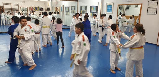 Gimnasio Tamura - judo in Madrid