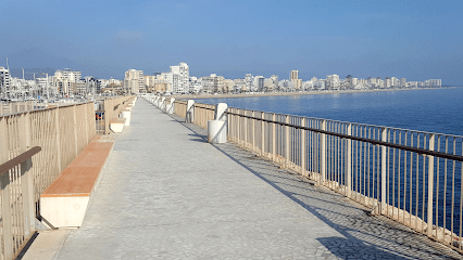 Servicio de Deportes Municipal de Gandia - baloncesto in Gandia
