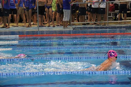 Piscina municipal de Senyera - natacion in Señera