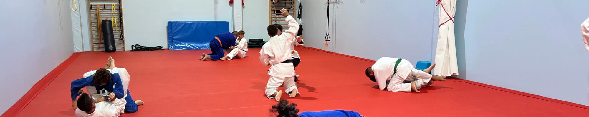 Dojo Yoshinkai - Jiu-Jitsu y Judo en Málaga - judo in Málaga