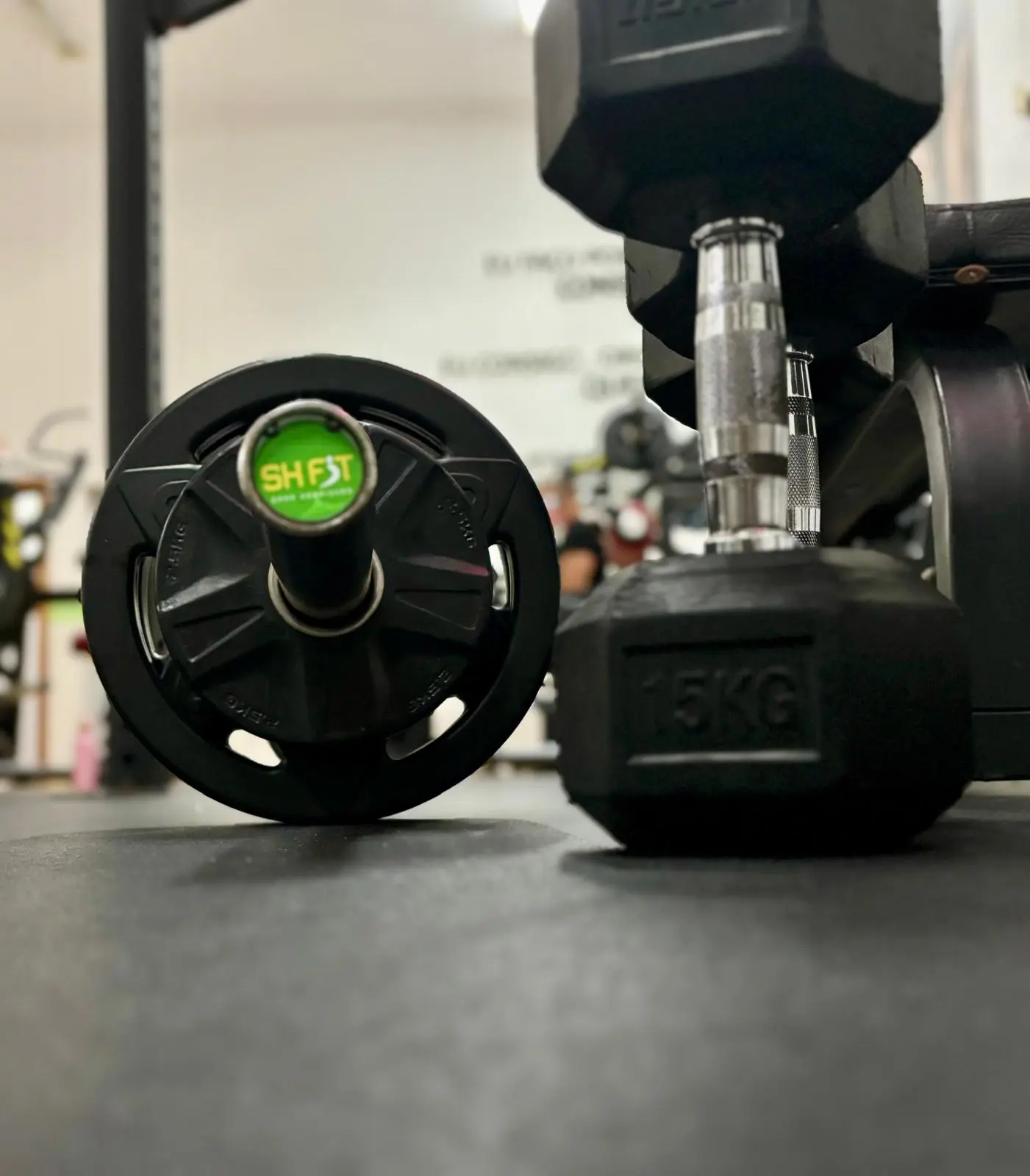 SHFIT - Sara Henriques - crossfit in Fundão