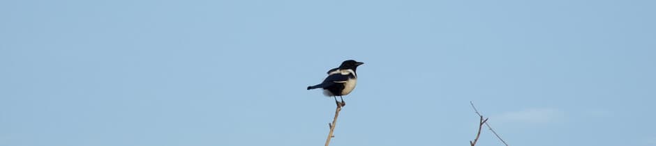Karaté Club Rouillacais - karate in Rouillac