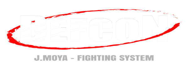 Warriors Academy - karate in Elche