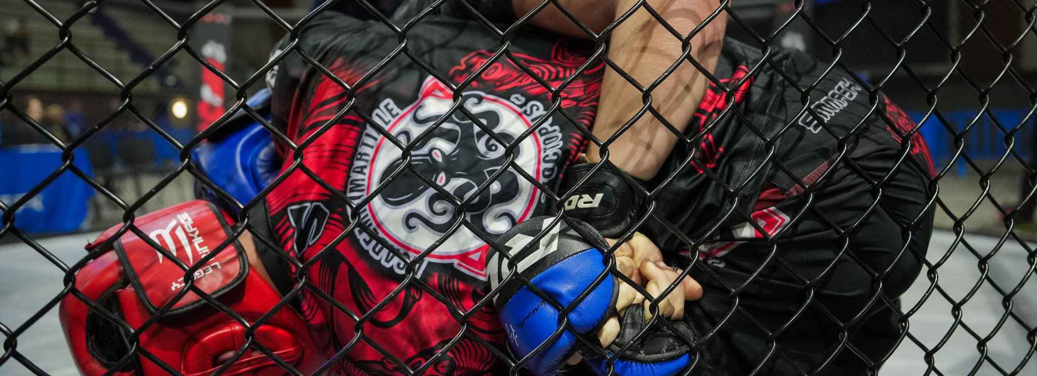 Académie Martiale de Karaté - karate in Saint-Clar-de-Rivière
