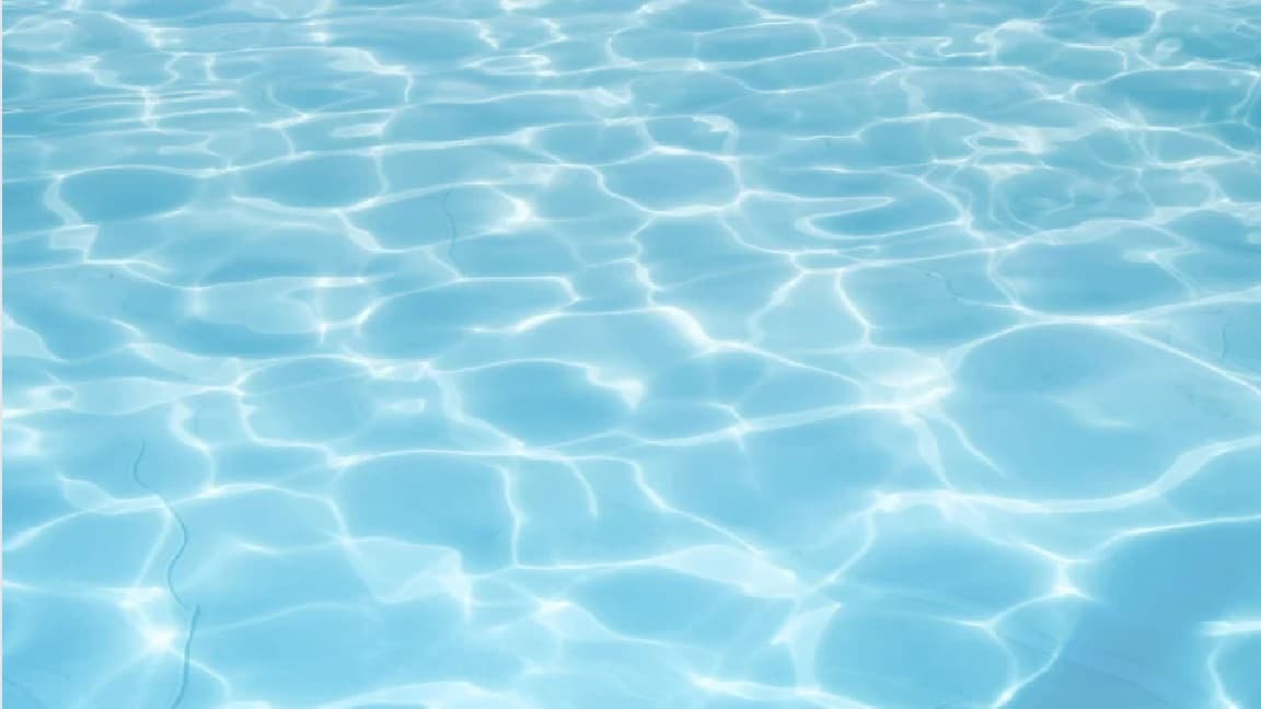 Club Natación Guadalajara - natacion in Guadalajara