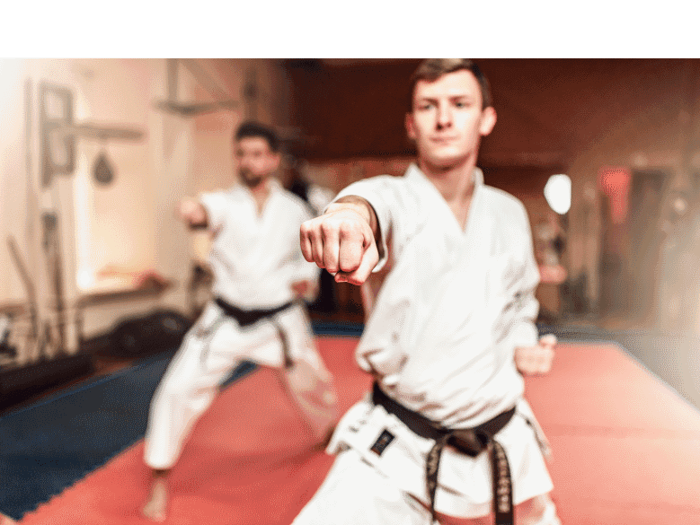 Club de karaté de l'Isle-Adam Parmain - karate in L'Isle-Adam