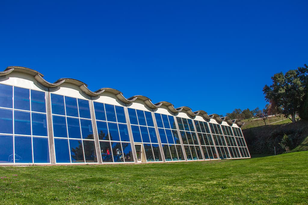Municipal pools of Ponte de Lima - natacion in Ponte de Lima