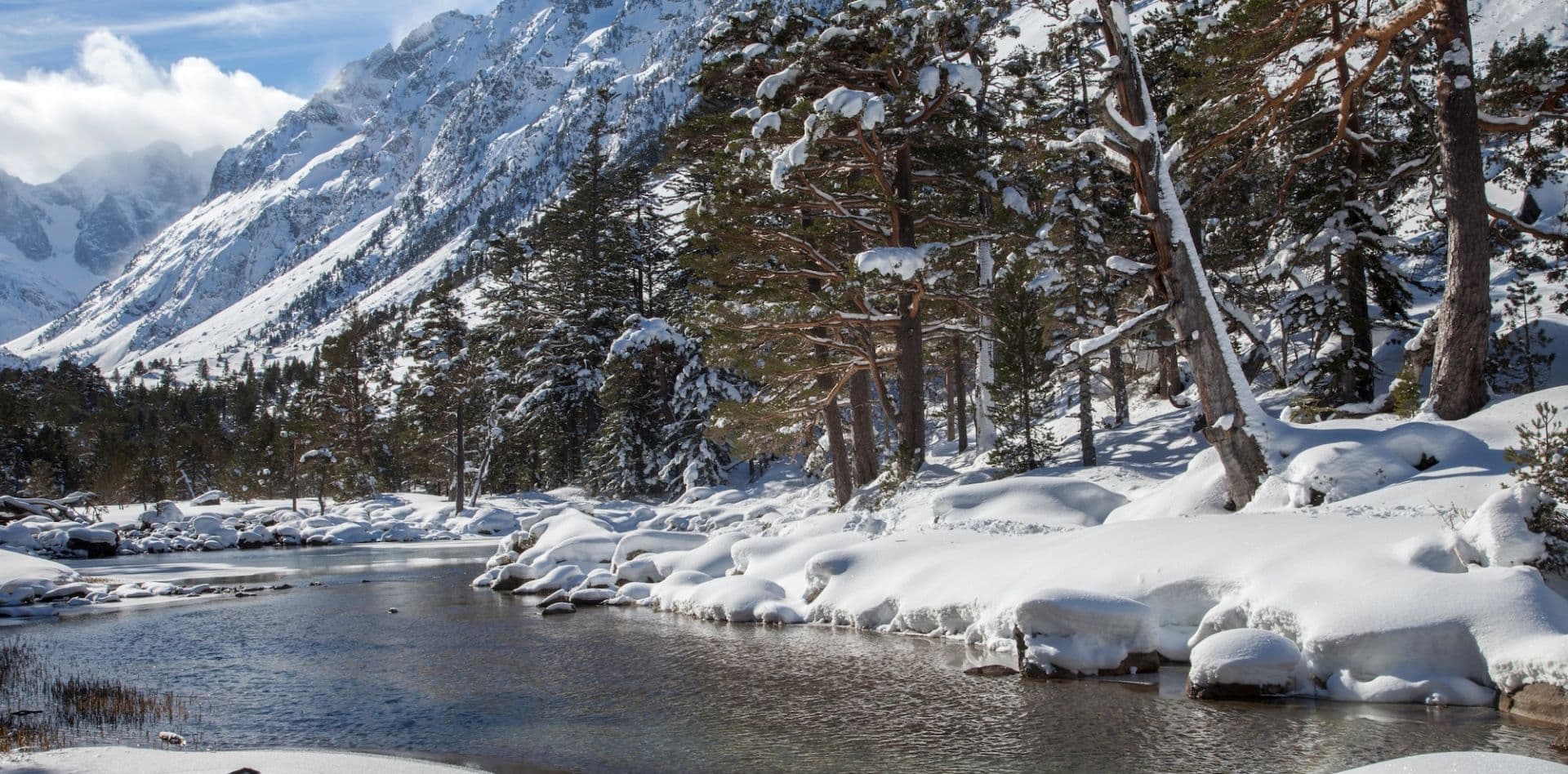 Swin Golf des Oliviers - golf in Gaudiès