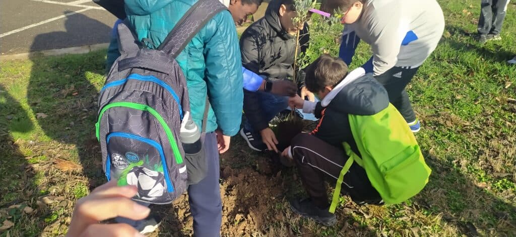 IES Secondary School Pyramid - natacion in Huesca