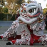 Shaolin Dragon - karate in Logroño