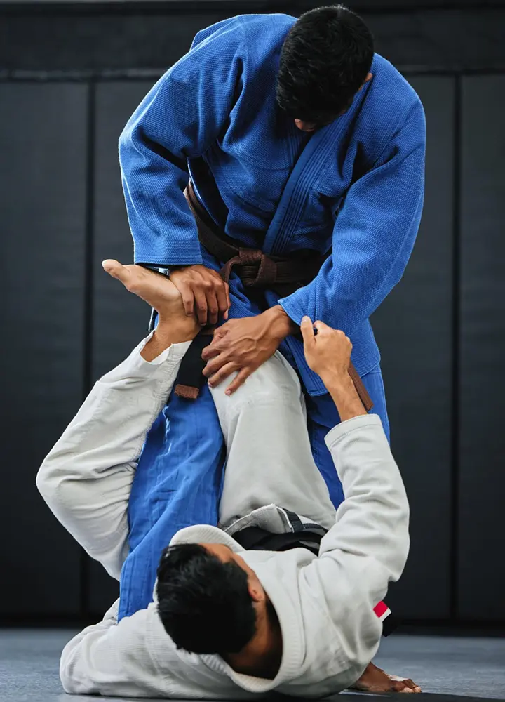 Nino Grappling - judo in Torredembarra
