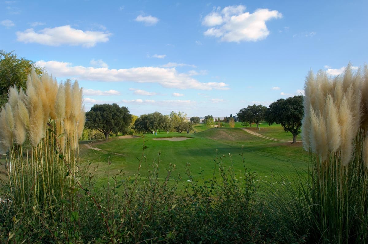 RACE Sports Complex - ski 