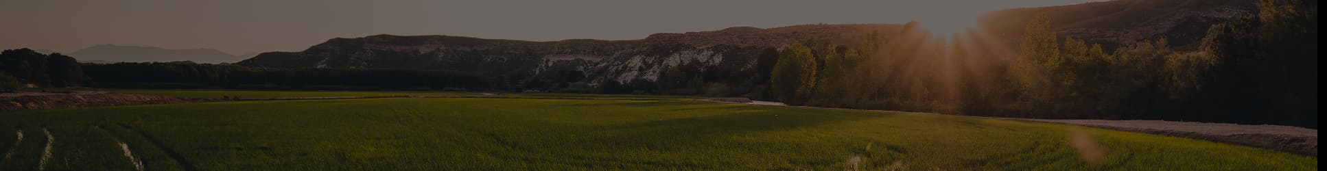 Campo de Fútbol La Era - fútbol in Cieza