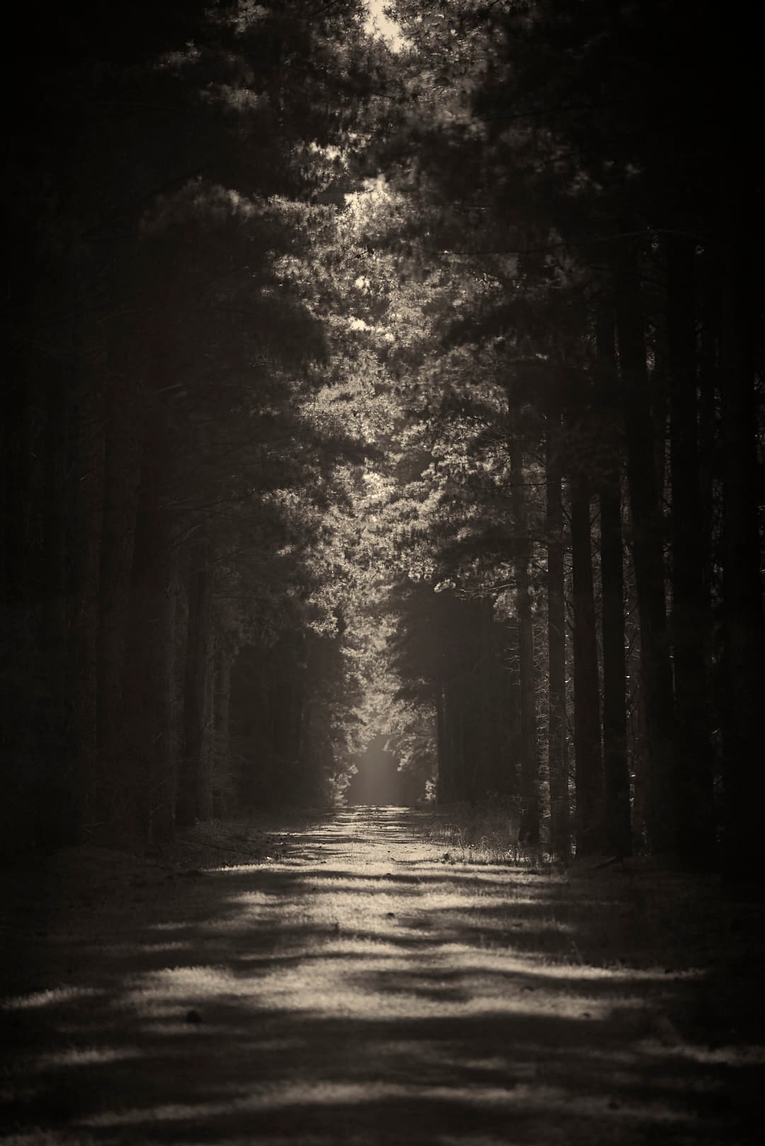 GoJu Ryu Karate-Do Shingokan - karate in Mount Gambier