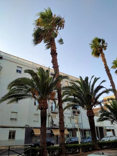 Surf Puzol - surf in Puçol