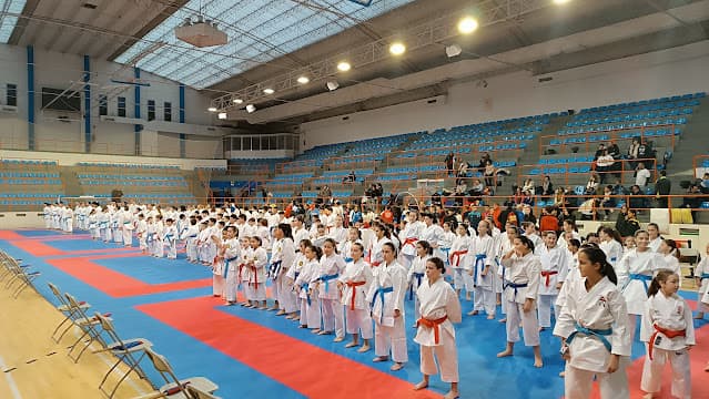 Escuela de Karate Ishikawa - karate in Miranda de Ebro