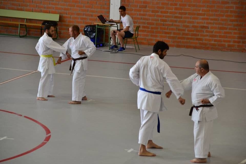 Energym - karate in Las Navas del Marqués