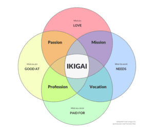 ASOCIACIÓN DE KARATE DO IKIGAI - karate in Costa