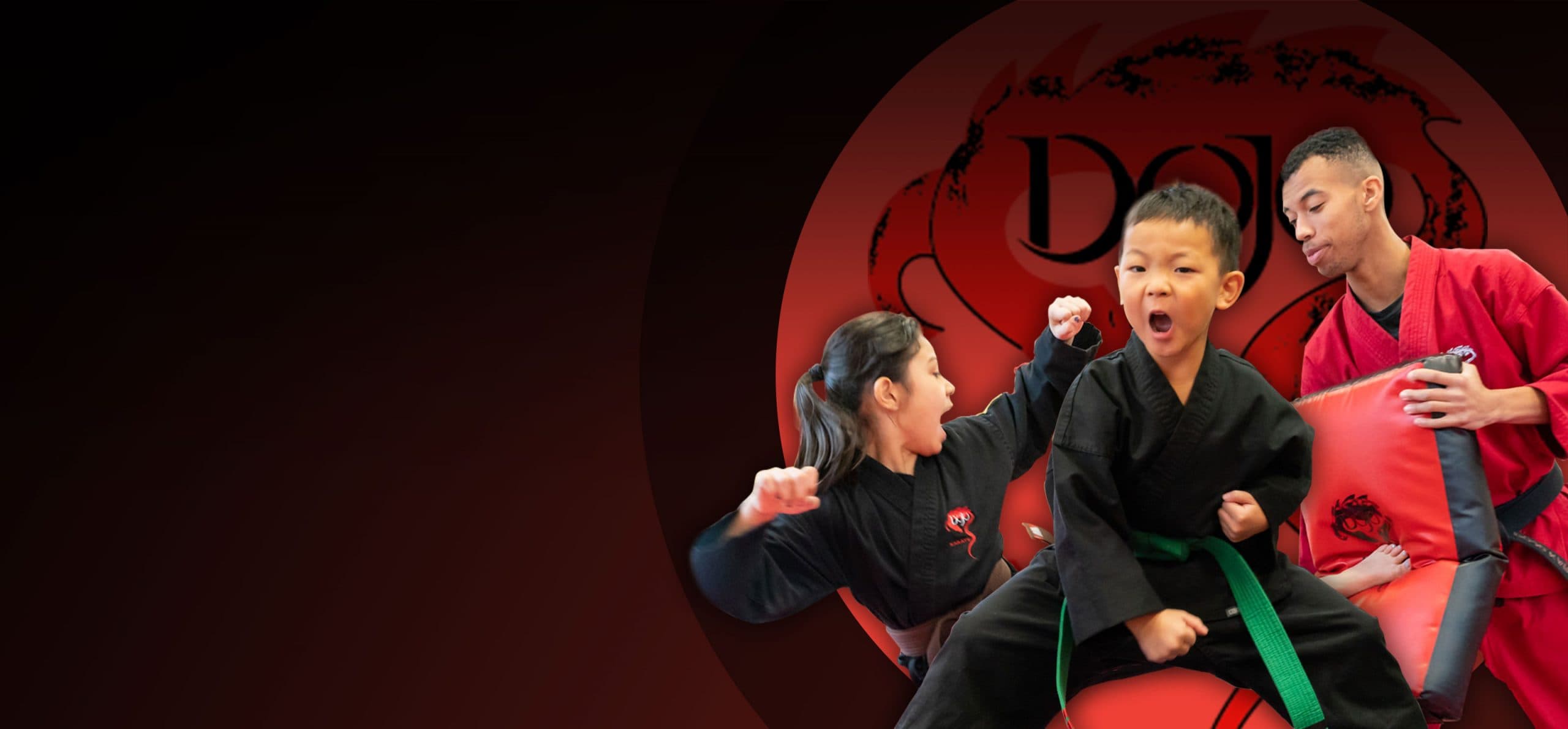 Dojo Karate - Maple Grove - karate in Maple Grove