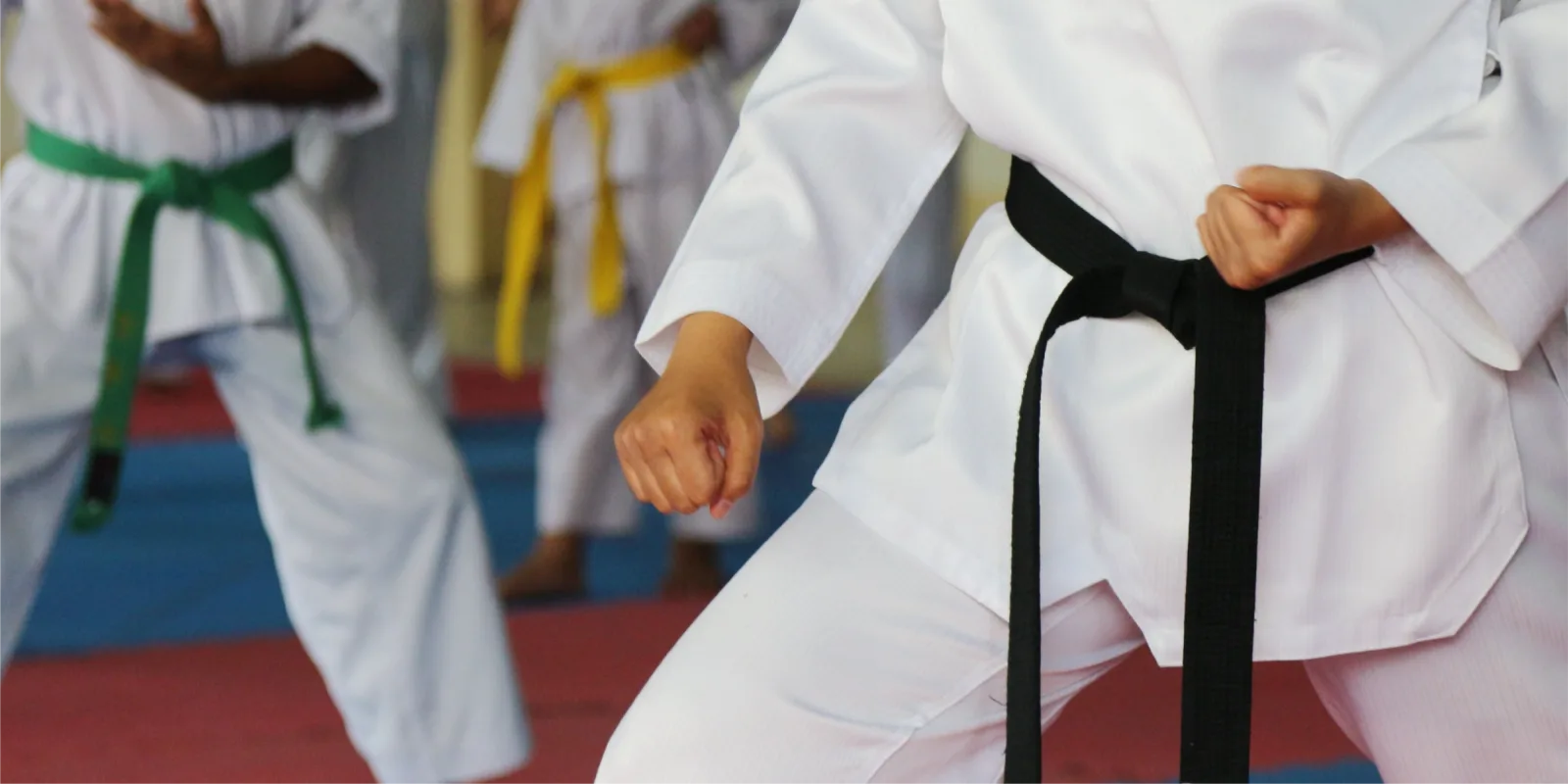 Karatecas con cinturón negro en el tatami