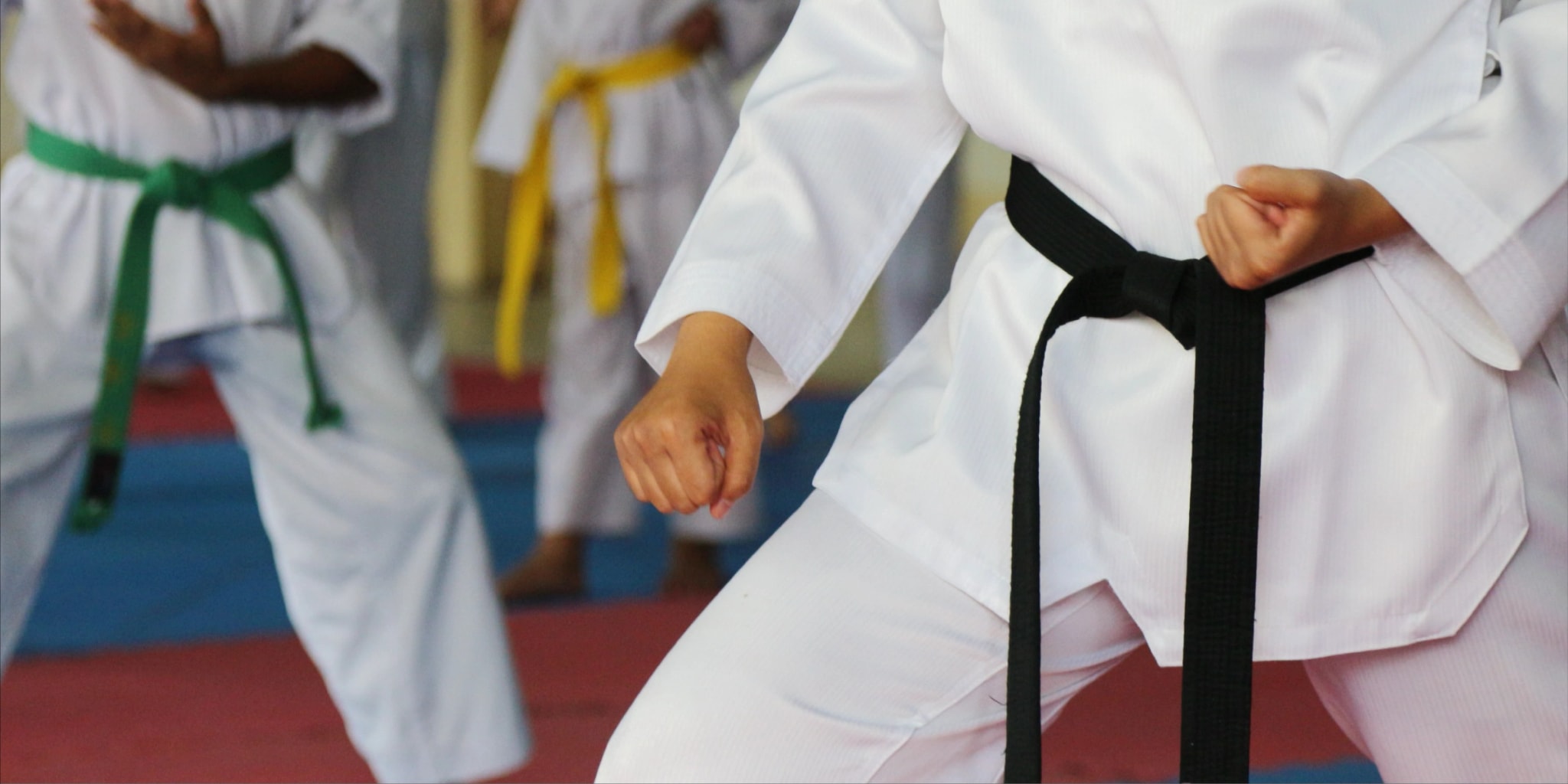 Karate & Badgie