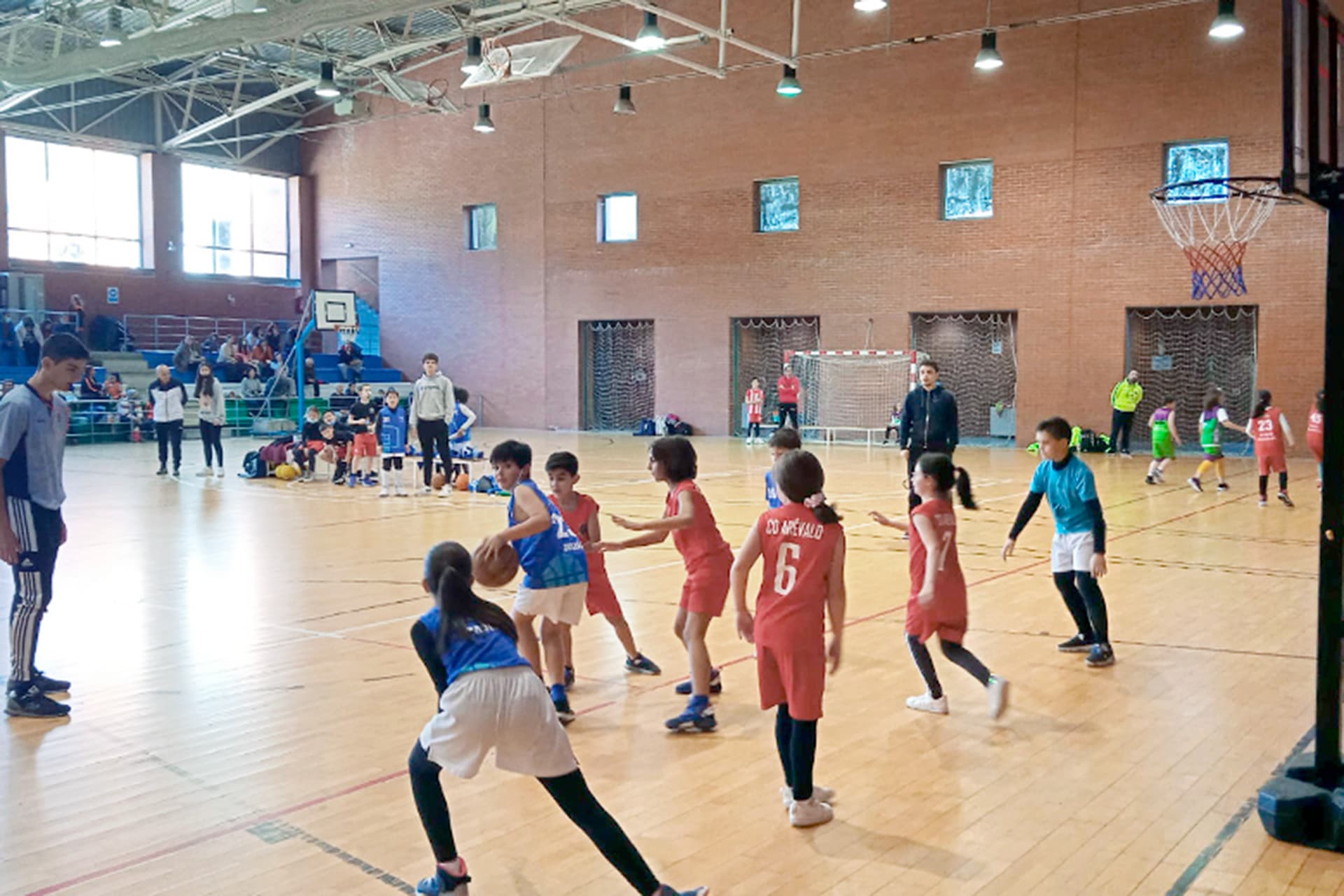 Jabalines Baloncesto - baloncesto in El Espinar